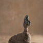 Llama Kumpa