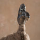 Llama Kumpa