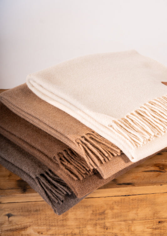 Chalina Large Llama Refinada